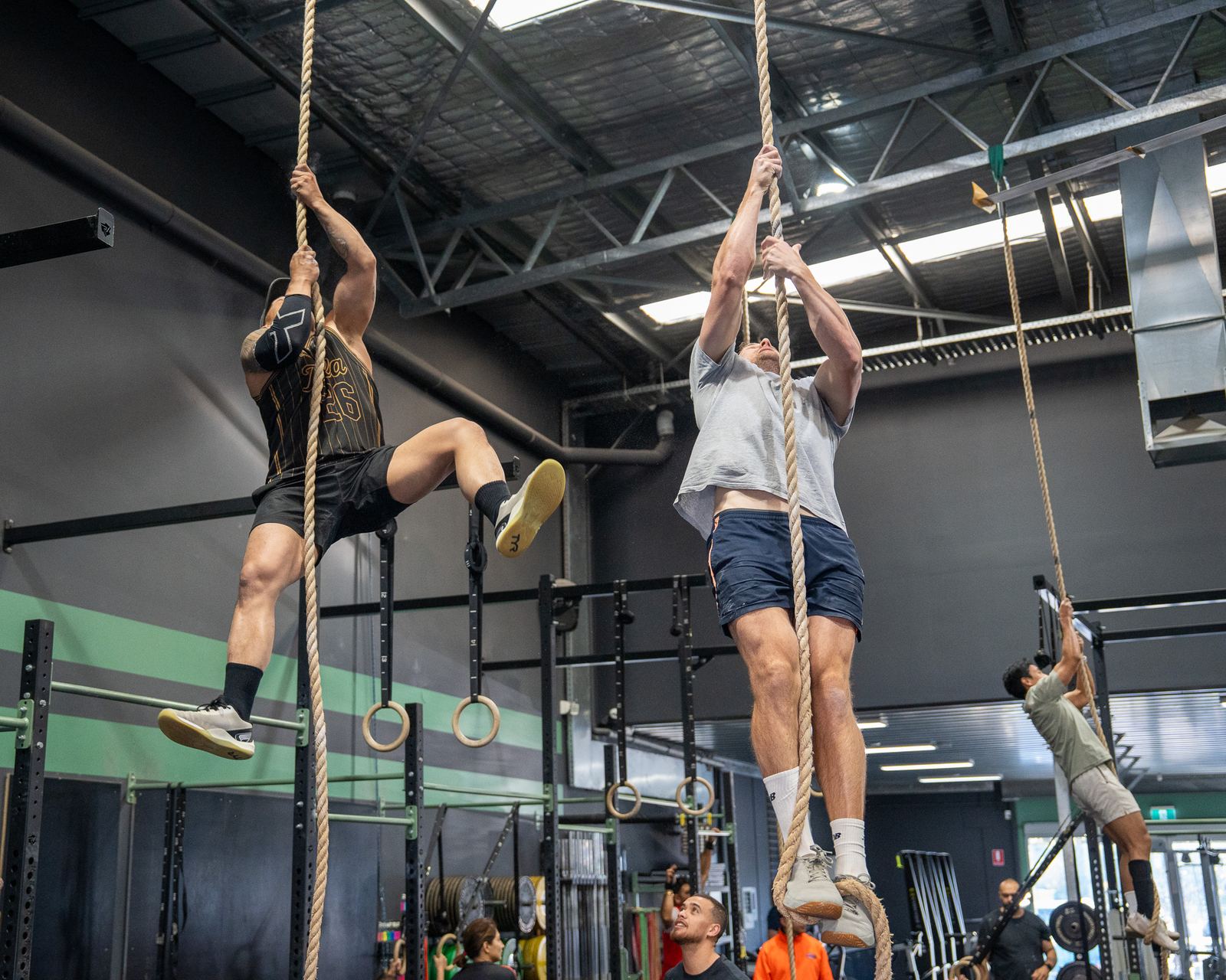 Members climbing ropes in a Sagitta CrossFit class